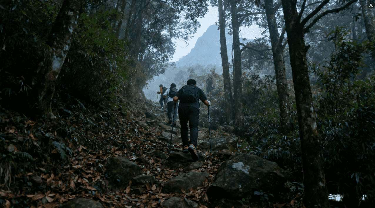 苹果手机无法安装小牛加速器的常见原因及详细解决方法解析